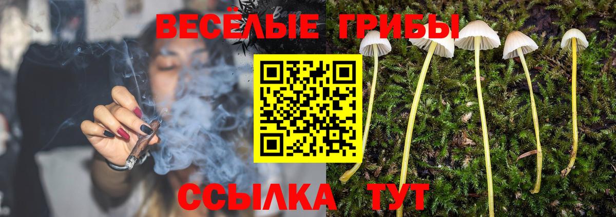 Псилоцибиновые грибы прущие грибы Серпухов